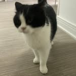 Adrian Pak - @_adrian0206_ - Instagram