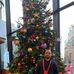 Adrian Pap - Facebook