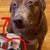 Adrian Pardo - @apardo.23 - TikTok