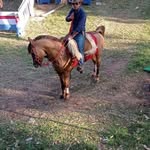 Adrián Paredez - @paredez181 - Instagram