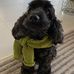 Adrian Parkes - Facebook