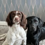 Adrian Parry - @parry.adrian - Instagram