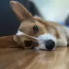 adrianeparry - @arock1234 - TikTok