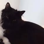 Adrian Paszek - @paszunio_pvv - Instagram