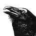 Adrian Pates - Facebook