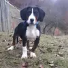 adrianpatrone - @adrianpatrone - TikTok