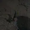 Adrian Pazos - @adrian.pazos8 - TikTok