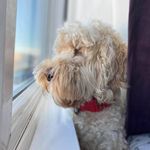 Adrian Peck - @redmariner - Instagram