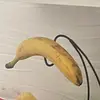 adrianna - @adrianna.pepin - TikTok
