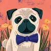 Adrian Pereda - @adrian.pereda4 - TikTok