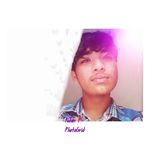 Adrian Persaud - @ilo_vetoast - Instagram