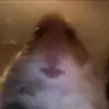Adrian - @adrian_peter_ - TikTok