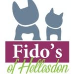 Adrian Pettitt - @fidospetsnorwich - Instagram