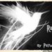 Adrian Peyton - Facebook