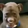 Adrian Picasso - @adrian.picasso7 - TikTok