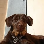 Adrian Picazo Martinez - @elboniquet - Instagram