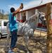 Médico Veterinario Zootecnista Adrian Andres Picazo Jaramillo - Facebook