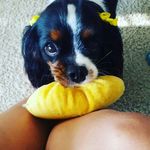 Adrian Pichler - @pichleradrian - Instagram