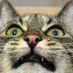 adrian pichór - @adrianpichor - Instagram