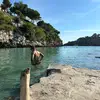 Adrianpichurrinas - @adrianpichurrinass - TikTok