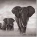 Adrian Pickering Biggins - Facebook
