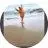 adrianna pickett - @adriannapickett8 - TikTok
