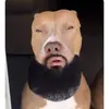 Adrian Pinales - @adrian.pinales1 - TikTok