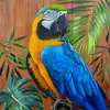 mundo animal - @adrianpires10 - TikTok
