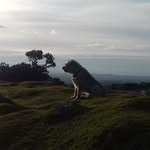 Adrian Pitcher - @dartmoorphotographyadventures - Instagram