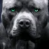 Adrian Pitcher - @brantlee.p7 - TikTok