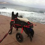 Adrian Pitt - @garofolo3 - Instagram