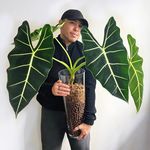 Adrian - @adrianandplants - Instagram