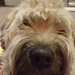 Adrian Plant - @hawkhurst_bear - Instagram