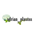 Adrian_plantss - @adrian_plantss - Instagram