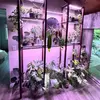 Adrian’s Plants - @adriansplants - TikTok