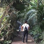 Plants 🌿 - @_plants_of_adrian_ - Instagram