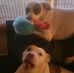 Adrian Pointer - Facebook