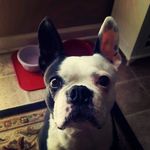 Adrian_poland_10 - @adrian_for_life10 - Instagram