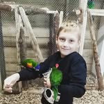Adrian polański - @polanski_adrian - Instagram