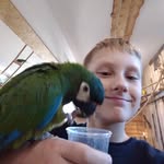 Adrian polański - @polanski.adrian - Instagram