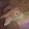 Adrian Polanski - @adrianpolański - TikTok