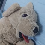 Adrian P - @_adrianpoon_ - Instagram