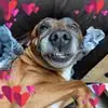Adrian Porter - @adrian.porter52 - TikTok