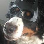 Adrian Potter - @apotts1001 - Instagram