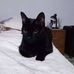 Adrian Prieto - Facebook