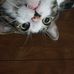 Adrian Redding - Facebook