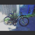 adrianrenner - @adi_renner_ - Instagram