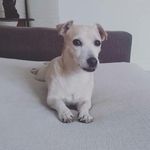 Adrián Rosillo - @adri.rosillo_ - Instagram