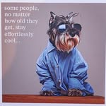 Adrian Ruddock - @ruddockadrian - Instagram