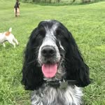 Adrian Glynn Rushton - @adrianglynnrushton - Instagram